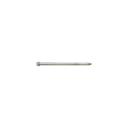 Grip-Rite Grip-Rite 12D 3-1/4 in. Finishing Hot-Dipped Galvanized Steel Nail Brad Head 1 lb 12HGF1